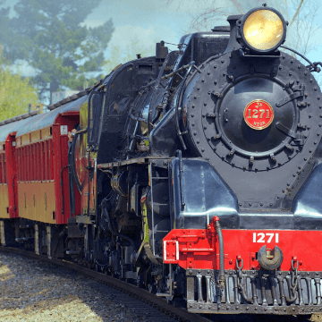 train
